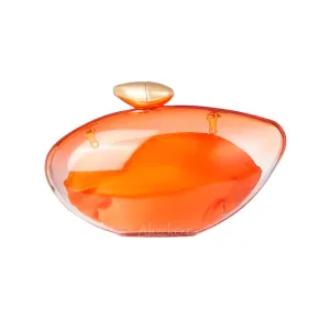 TEEK - Transparent Acrylic Evening Graduated Clutch